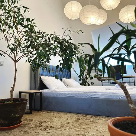 Modern And Stylish Loft 